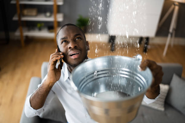 Best 24-hour water damage restoration  in La Habra, CA