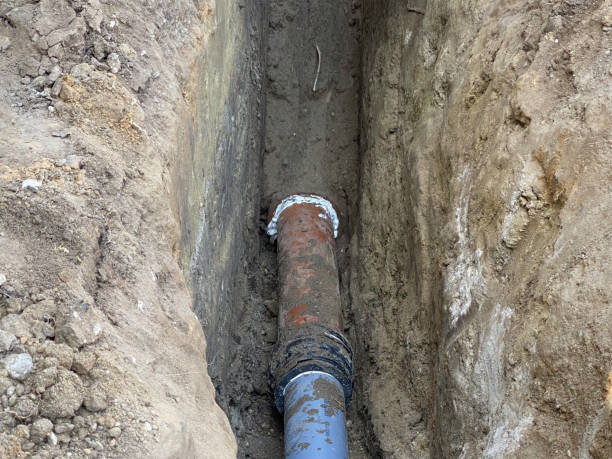 Best Flood restoration services  in La Habra, CA