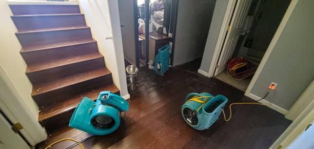  La Habra, CA Water damage restoration Pros