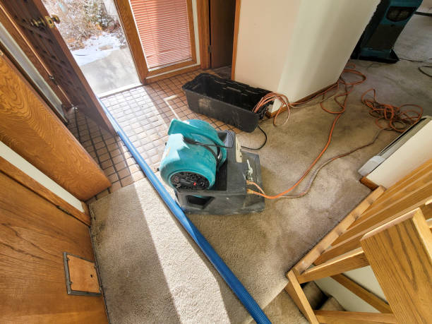 Best Commercial water damage restoration  in La Habra, CA