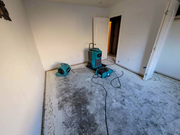 Water damage restoration insurance claims in CA