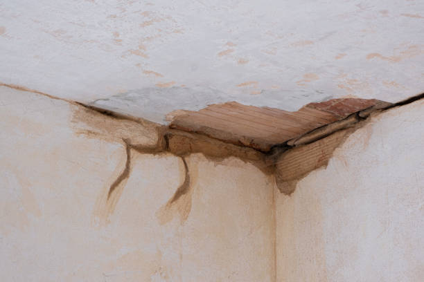 Best Fire Damage Restoration  in La Habra, CA