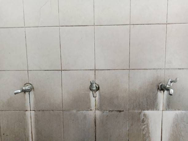 Best Ceiling water damage repair  in La Habra, CA