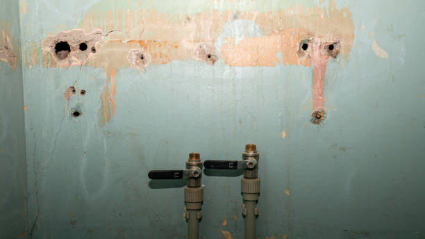 Best Flood damage cleanup  in La Habra, CA