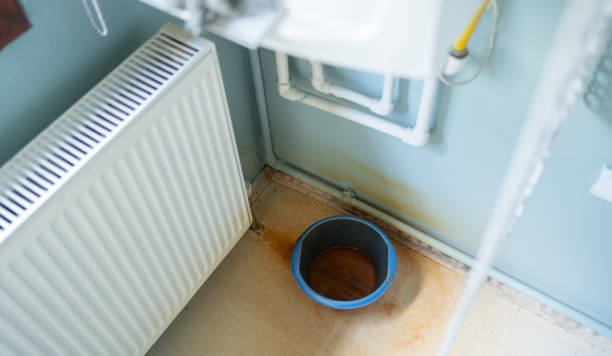 Best Flood damage cleanup  in La Habra, CA