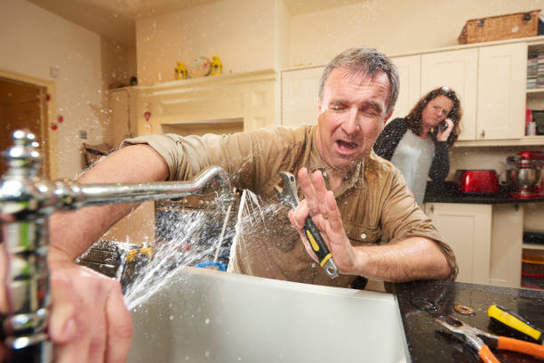 Best Mold removal after water damage  in La Habra, CA